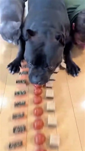 food eating challenges