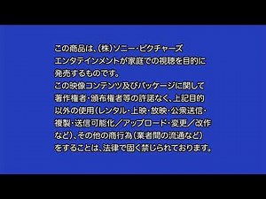 Japanese Warning/Views Expressed Screens (2/26/2008)