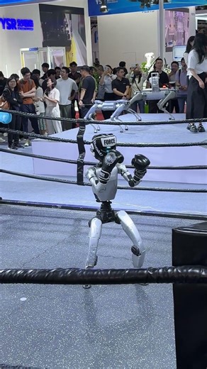 Robot Boxer in China. Cool or not? #chinatech #china #robot