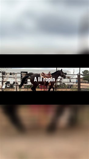 #E6brands #eph6 #Godfirst #fasttimesaddleco #customsaddle #teamroping