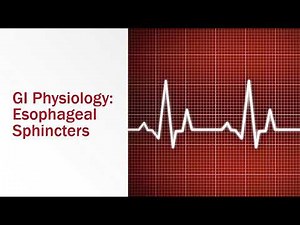GI Physiology: Esophageal Sphincters