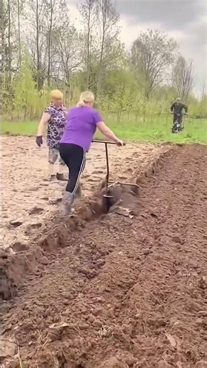 Farmland plowing process using a gasoline engine and a plough