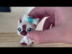 LPs 10 embarrassing things middle school kids do