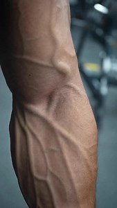 52K views · 14K reactions | alien genetics #oldschool #Classic #champion #classicphysique #shredded #epic #muscle #beard #abs #style #arm #bodybuilding #fitness #big #fit #fitfam #fitspo #instafit #instapic #gym#motivation #model #fashion #man #smile #fighter #l4l | Ahmed Nassar | Facebook