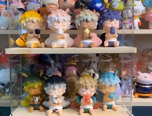 签收一袋子的huhu小可爱