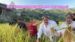 69K views · 3.5K reactions | Harvesting Huge Paddy (Rice) Fields | Shrine Tania | Shrine Tania | Facebook