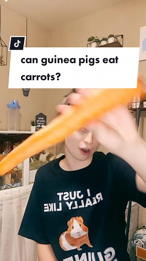Can Guinea Pigs Eat Carrots? What You Need to Know!