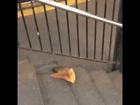 Survival horror where killer rats take over New York in the works