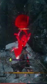 Practice vs MeHmEtHaN rnd1 (Sabimaru Umbrella Great Raven Dragon Flash) PvP Sekiro Online MOD