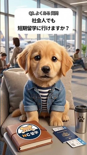 1週間でも短期留学できる？🐶✈️