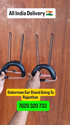 Doberman ear Croping Stand #petking #dog #viral #speakpug #dogcoach