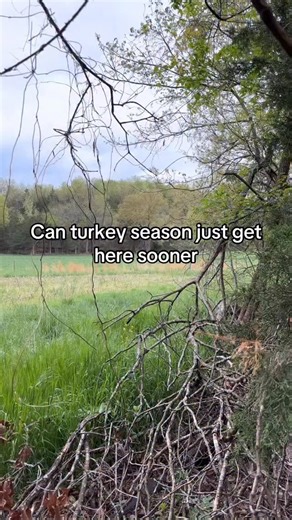 Whitetail Waters on Instagram: "Tag your hunting bro #summer #spring #turkey #hunting #whitetailwaters"