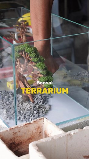 Bonsai Hardscape for Aquascape and Home Decorations