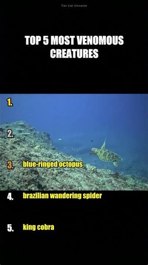Top 5 Most Venomous Creatures on Earth (You'll Be Shocked) #Shorts