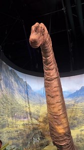 Quien para ir a Jurassic que quiero repetir #chismetime #llegounacotsa #jurassicworldtheexperience #patrocinado | Samuel Vela