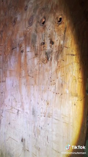 The Mine Ch. 8 #archaeology #history #explore #exploration #urbex #urbanexploration #urbanexploring #abandoned #ruins #creepy #foryoupage #fyp #foryou