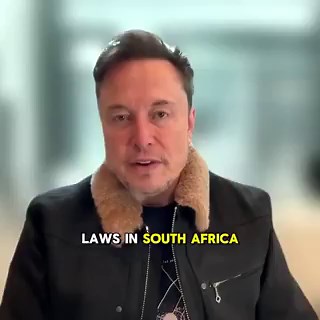 Post by Elon Musk on X: 💯