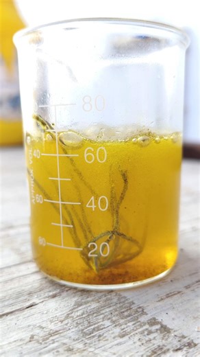 amazing science experiment with Hcl and Iron #experiment