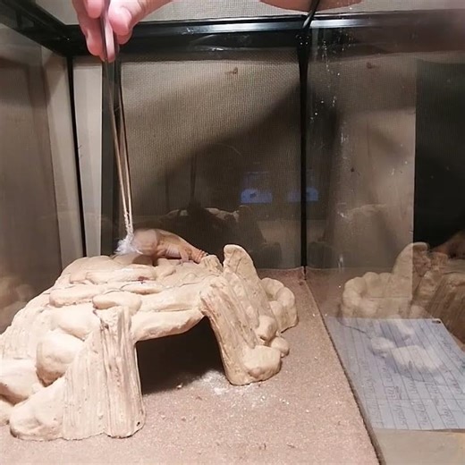 I've rewashed this about a hundred times and can't figure out how she flung it so far.