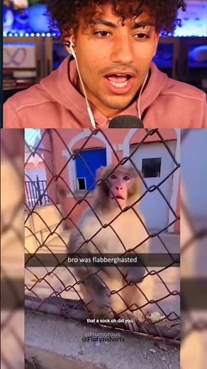 FOLTYN REACTION ON FUNNY VIDEO #shorts #reaction