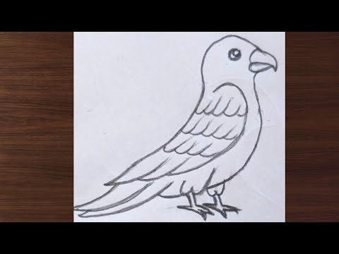 Bird Drawing Tutorial | Simple Pencil Art