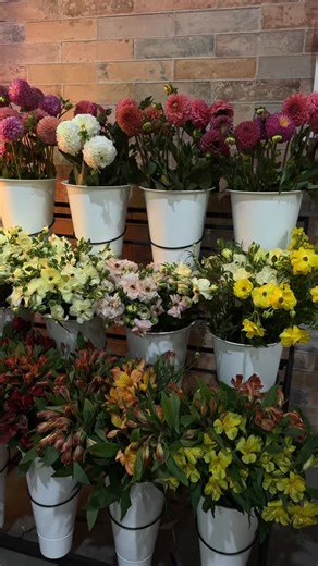 Arizona Flower Market on Reels | Facebook