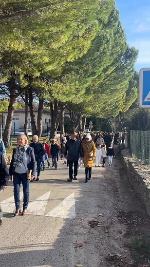 7.3K views · 60 reactions | #lepin Le Préfet du Gard, Jérôme Bonet est présent pour la commémoration de l’armistice de la première Guerre Mondiale en ce 11 novembre au Pin | TV SUD Magazine Gard rhodanien | Facebook