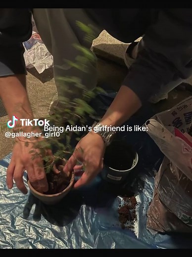 Life as Aidan Gallagher's Girlfriend: Expectations vs Reality