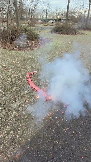 Celebration Cracker | Original chinesische Knallkette | XXL Böllerkette zu Silvester | #shorts