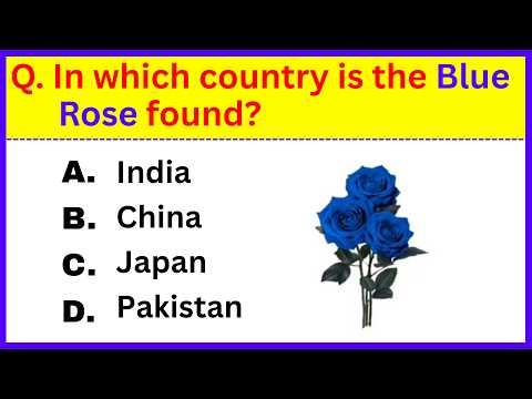 Top 30 GK Question and Answer | Gk Questions and Answers | GK Quiz | Interesting GK Question | GK GS