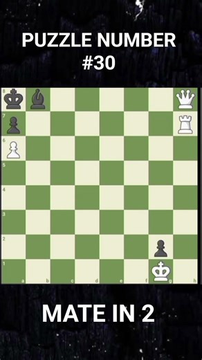 PUZZLE NUMBER -30 🤔🤔 100 CHESS PUZZLE SERIES #chess #shorts