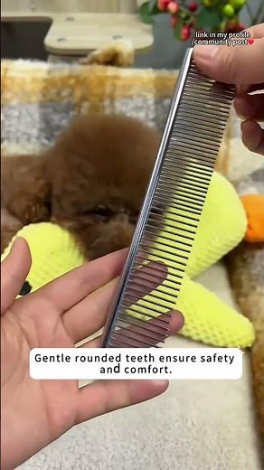 🐶 Tired of those pesky tear stains on your pup? This 2-in-1 grooming comb is a game-changer!