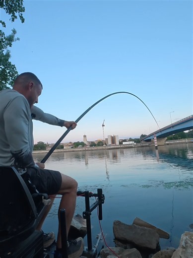 Pêche au Silure : Les Temps Forts d'une Saison Exceptionnelle