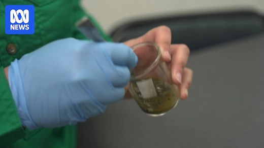 Ag Education: Searching for the best high school agricultural programs