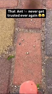 🤣🤣🤣 | Conceited