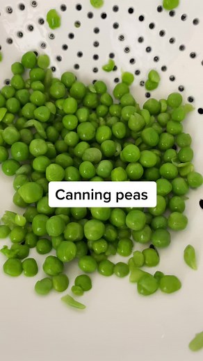Canning Peas Tutorial: Step-by-Step Guide for Pressure Canning