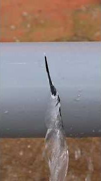 Fix a Leaking Pipe with This Simple DIY Hack