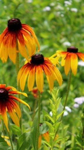 어싱피트니스 070-4412-2102 http://blog.naver.com/earthing1