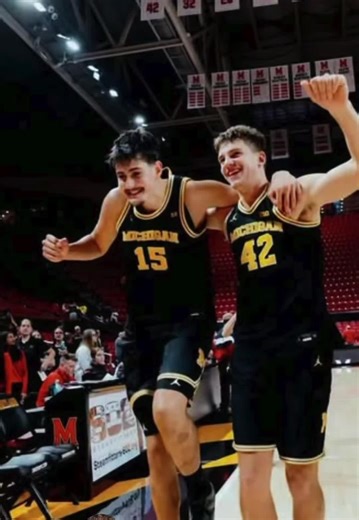 Michigan Wolverines: Leading the Nation in College Basketball