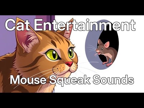 Mouse Squeak Sounds to Attract Cats 🐭🐱 | Fun Cat Entertainment Video