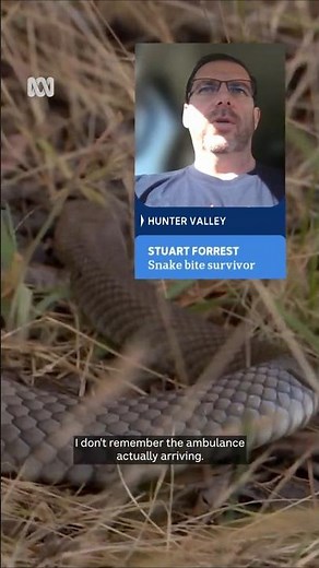 Surviving an eastern brown snake bite | ABC News