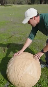 1M views · 9.5K reactions | Rubber Band Ball Disappeared! #reels #rubberband #ball #balls #drill | How Ridiculous | Facebook