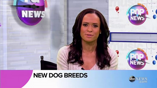 American Kennel Club Recognizes Two New Dog Breeds