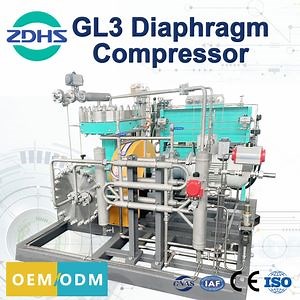 [Hot Item] Explosion-Proof High Back Pressure Type High-Pressure Compression H2 Diaphragm Compressor