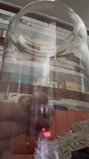 How to put #pokemon dice in a jar