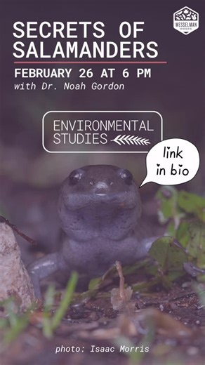 Wesselman Woods on Instagram: "Often unseen but always essential, salamanders are key indicators of environmental health. Explore the hidden lives of salamanders as we dive into their ecology, behavior, and importance in forest and wetland ecosystems. [ Secrets of Salamanders ] Thursday, February 26 from 6-8 PM • Presenter: Dr. Noah Gordon, Professor of Biology at the University of Evansville 🎟️ $20 for public / $15 for members or Indiana Master Naturalist Alumni • Link in Bio 🔗 #salamanders #