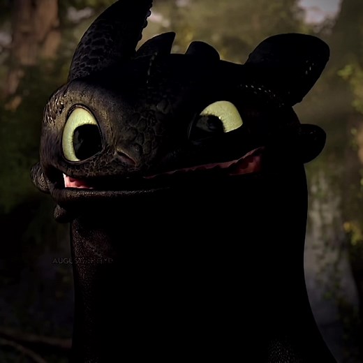 Toothless the Dragon's Heartwarming Smile