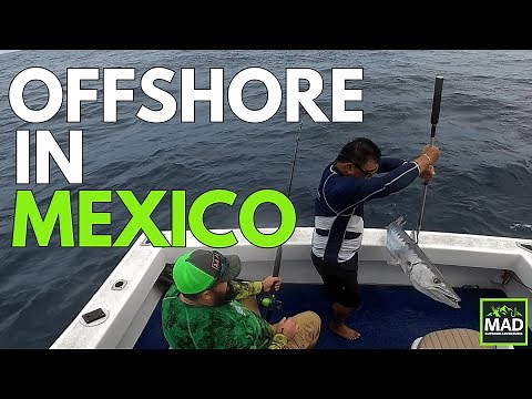 Deep Sea Fishing in Cancun | Our First Mexico Offshore Adventure (2023)
