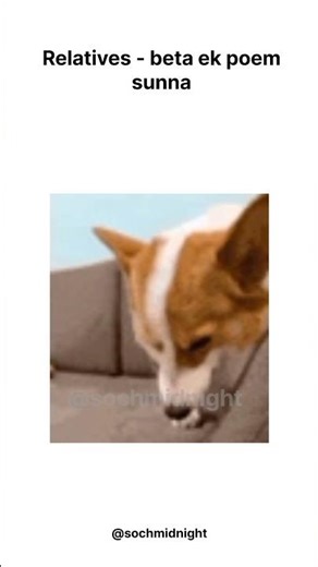 Relatives vs Me: Poem Edition 💀🔥 #shorts #relatives #relatable #popular