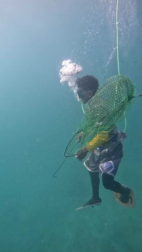 Compressor 🤿 | Marlo Conde